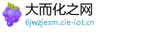 大而化之网